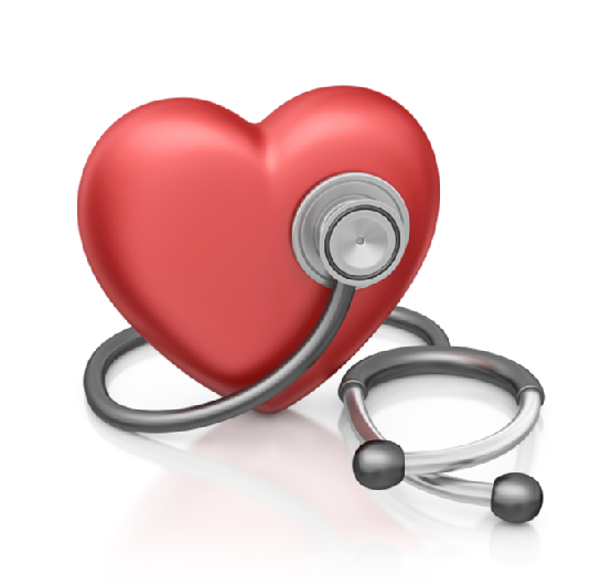 Die neue Salz-Studie (SSaSS)